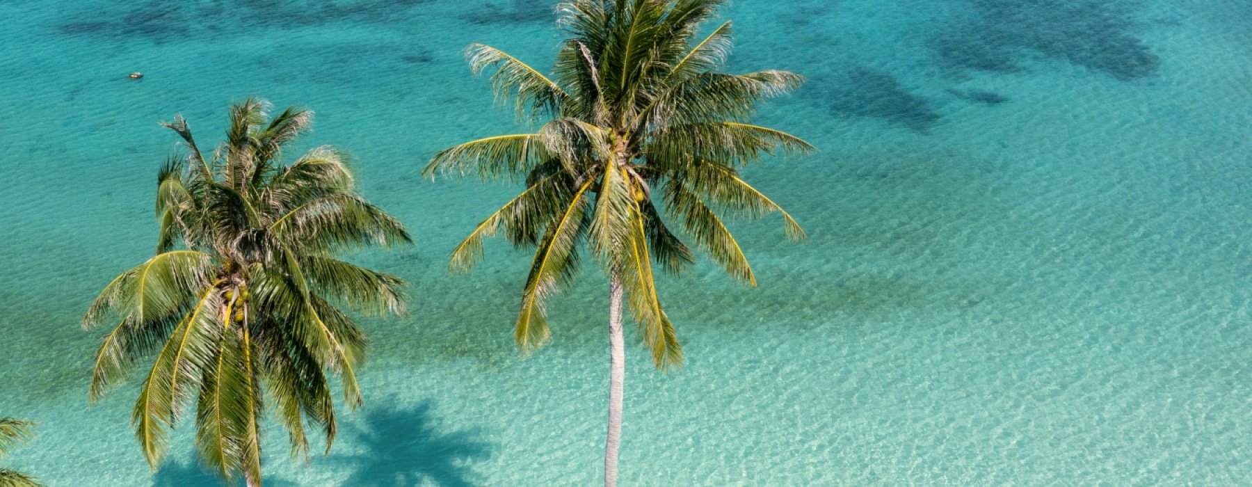 Moving to The Cayman Islands?