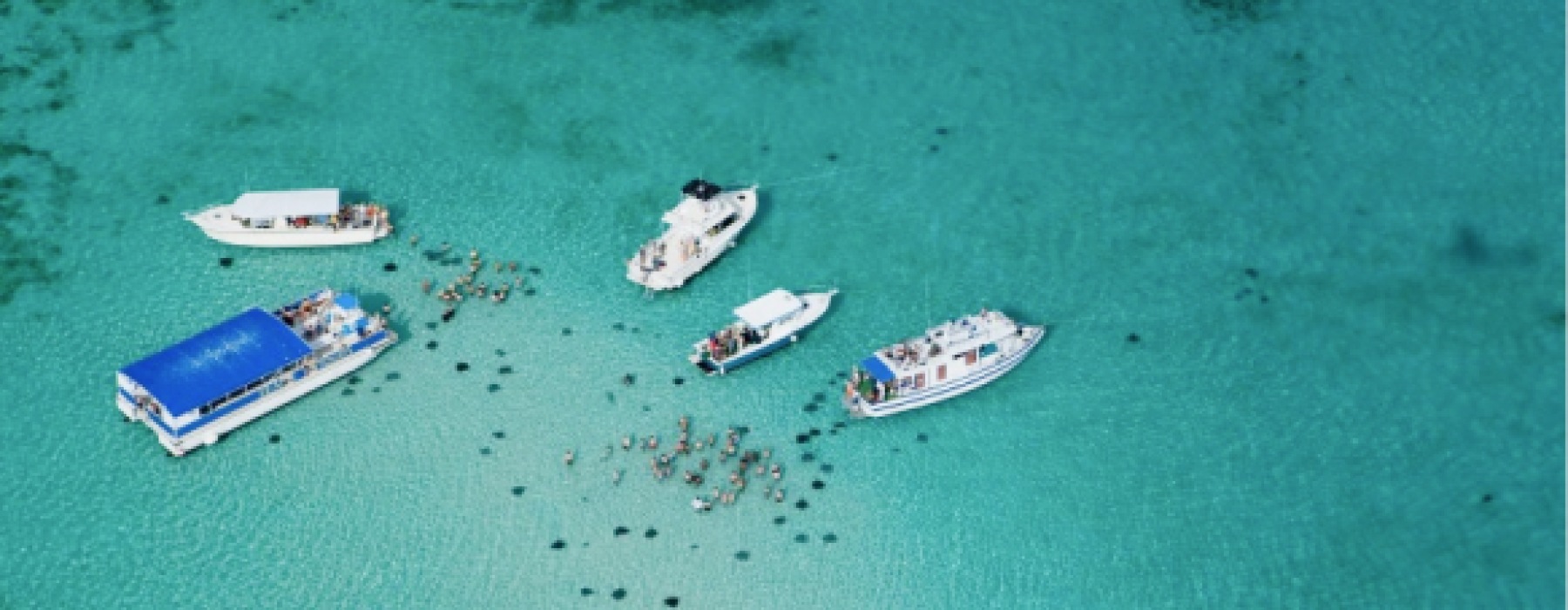 Moving to The Cayman Island?